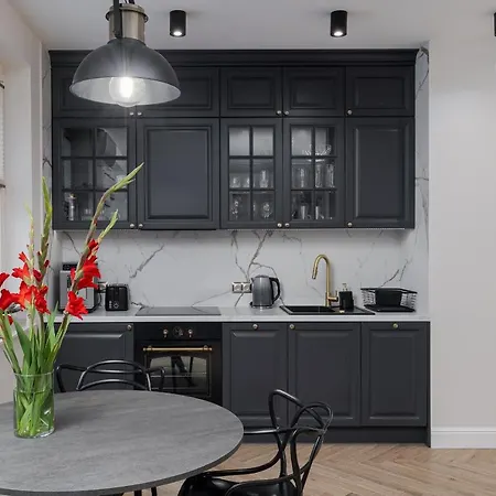 W Centrum Krakowa 109 דירה *